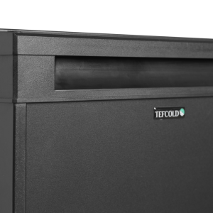 Mini Hladilnik Bar Črna TEFCOLD 24 L - Učinkovit in Eleganten