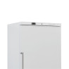 Bela zamrzovalna omara z ventilacijo - 600 L - Dynasteel