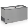 Zamrzovalnik s steklenimi drsnimi vrati - 500 L