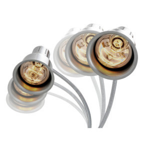 Double Heat Lamp