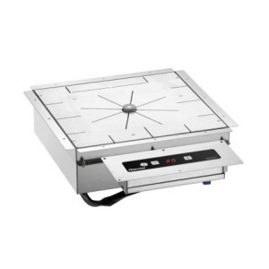 Induction Warming System - 650 W