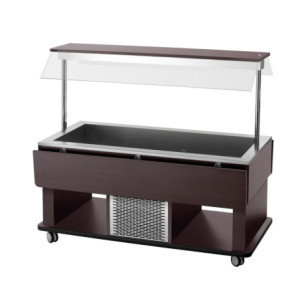 Hot Buffet Trolley Child - 4 x GN 1/1