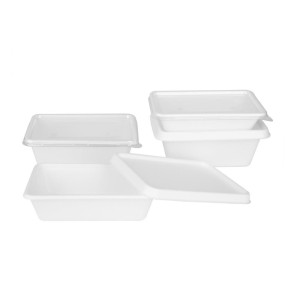 Barquette Alimentaires en Bagasse Fiesta Compostable 500ml - Lot de 100 - Gastronoble
