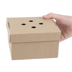 Foldable Square Burger Boxes - Pack of 100 - Fiesta Green