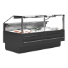 Premium Fresh Fish Service Display - 480 W