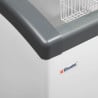 Zamrzovalnik za sladoled - 161 L - TEFCOLD