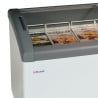 Zamrzovalnik za sladoled - 484 L - TEFCOLD