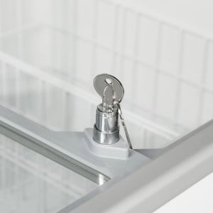 Zamrzovalnik za sladoled - 296 L - TEFCOLD