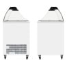 Ice Cream Freezer - 296 L - TEFCOLD