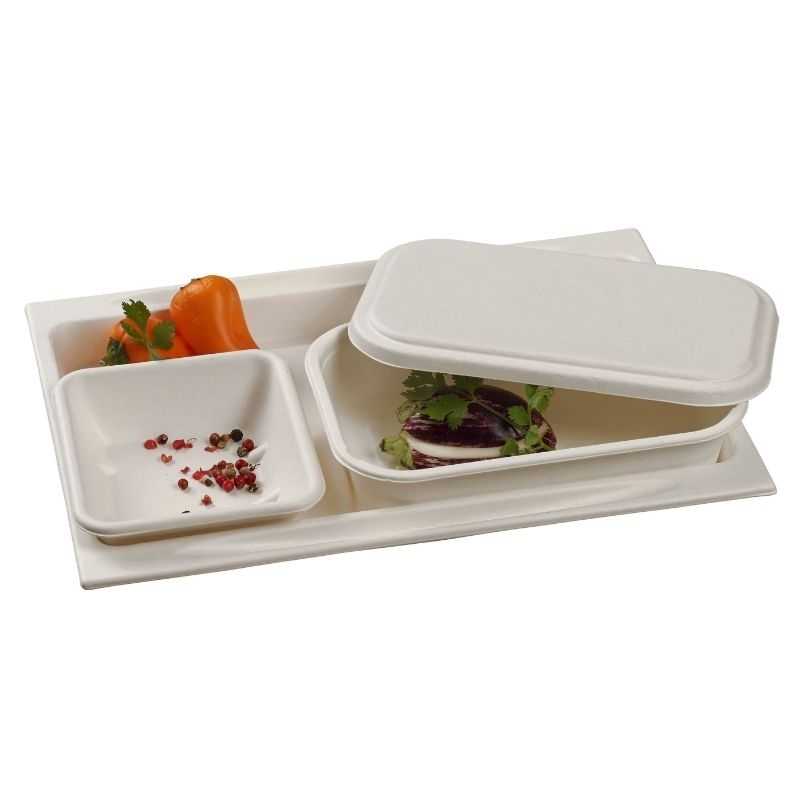 Plateau Repas en Pulpe - 273 x 194 mm - Lot de 50 Eco responsable Plateau Repas en Pulpe - 273 x 194 mm - Lot de 50 Eco responsable