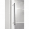 Hladilna vitrina z negativno temperaturo, bela, 365 L - Polar - Fourniresto