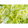 Disque à Râper 3 mm pour Coupe-Légumes Electrique - Dynamic