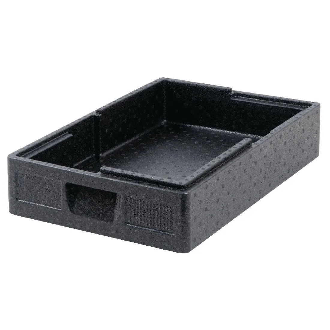Škatla Thermo Future Thermobox GN 1/1 Salto Noire - 15L