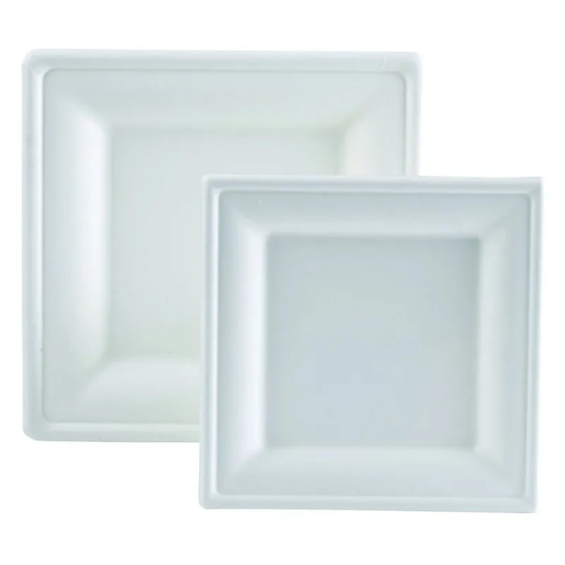 Krožnik iz bagasse - 200 x 200 mm - Paket 50